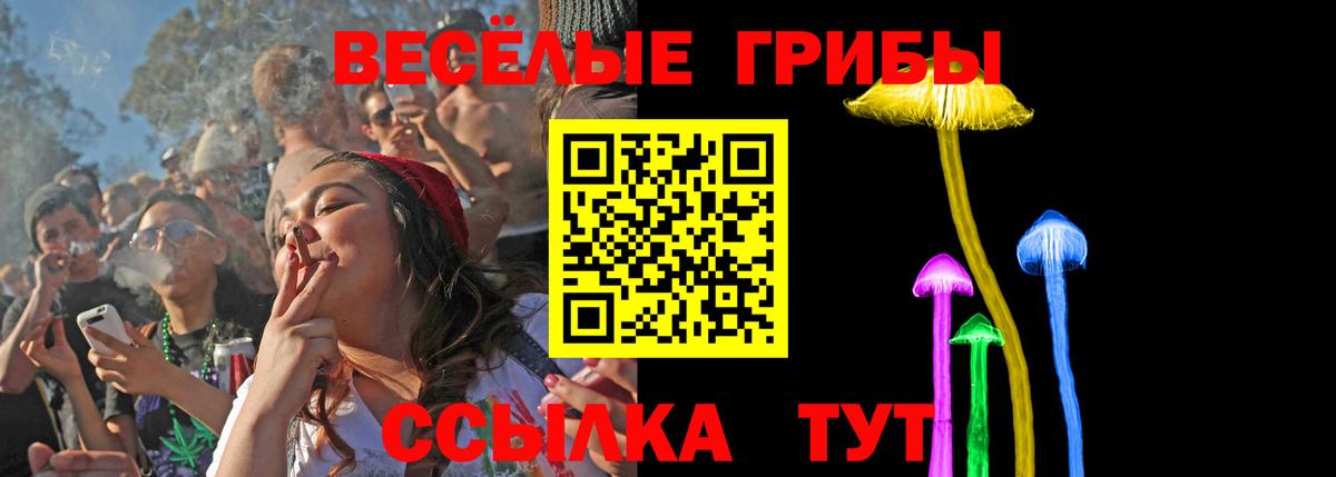 Псилоцибиновые грибы Cubensis  Псилоцибиновые грибы мицелий  Строитель  Вход с VPN 